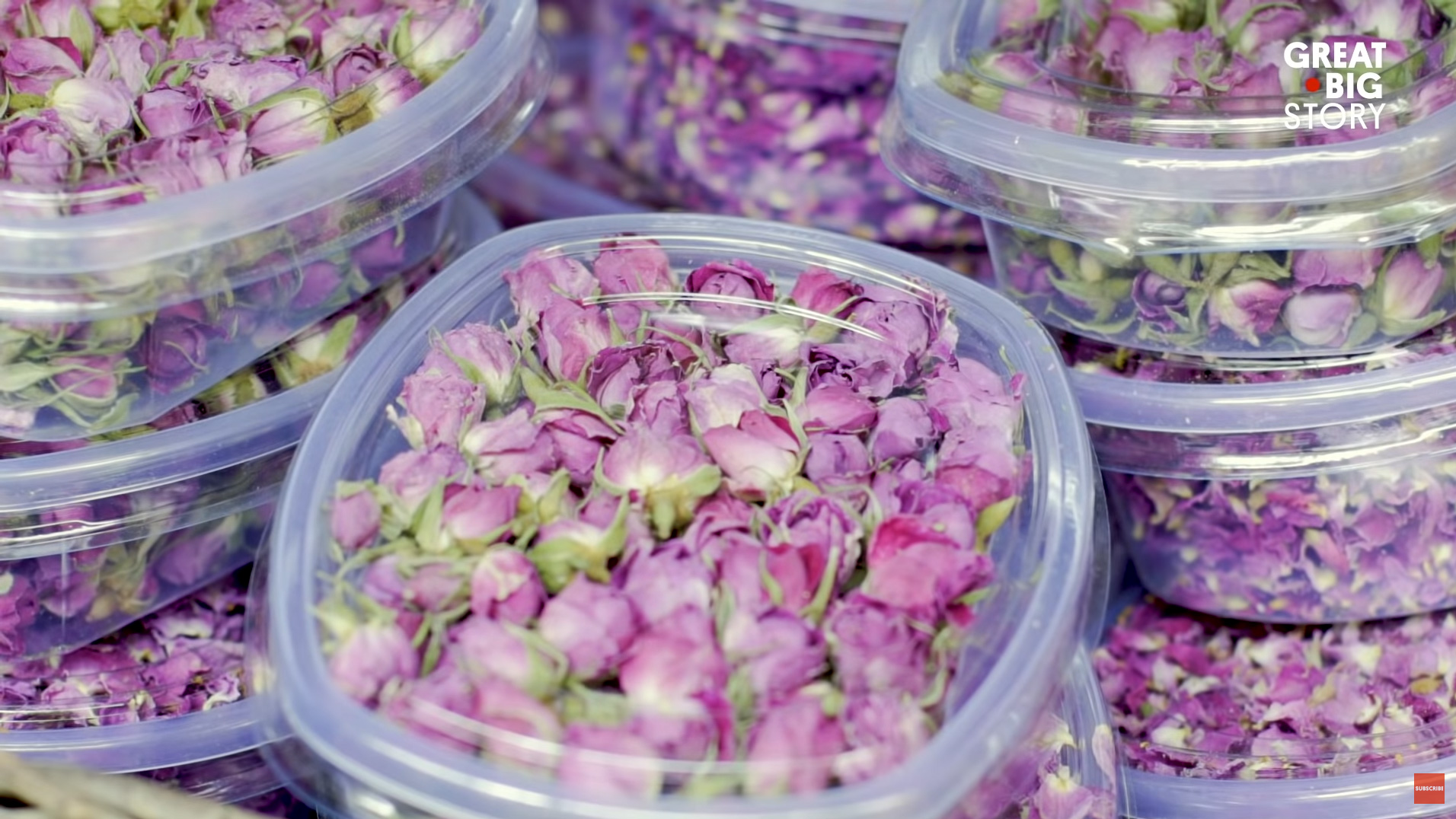 Frame from How the World’s Best Rose Water Is Made