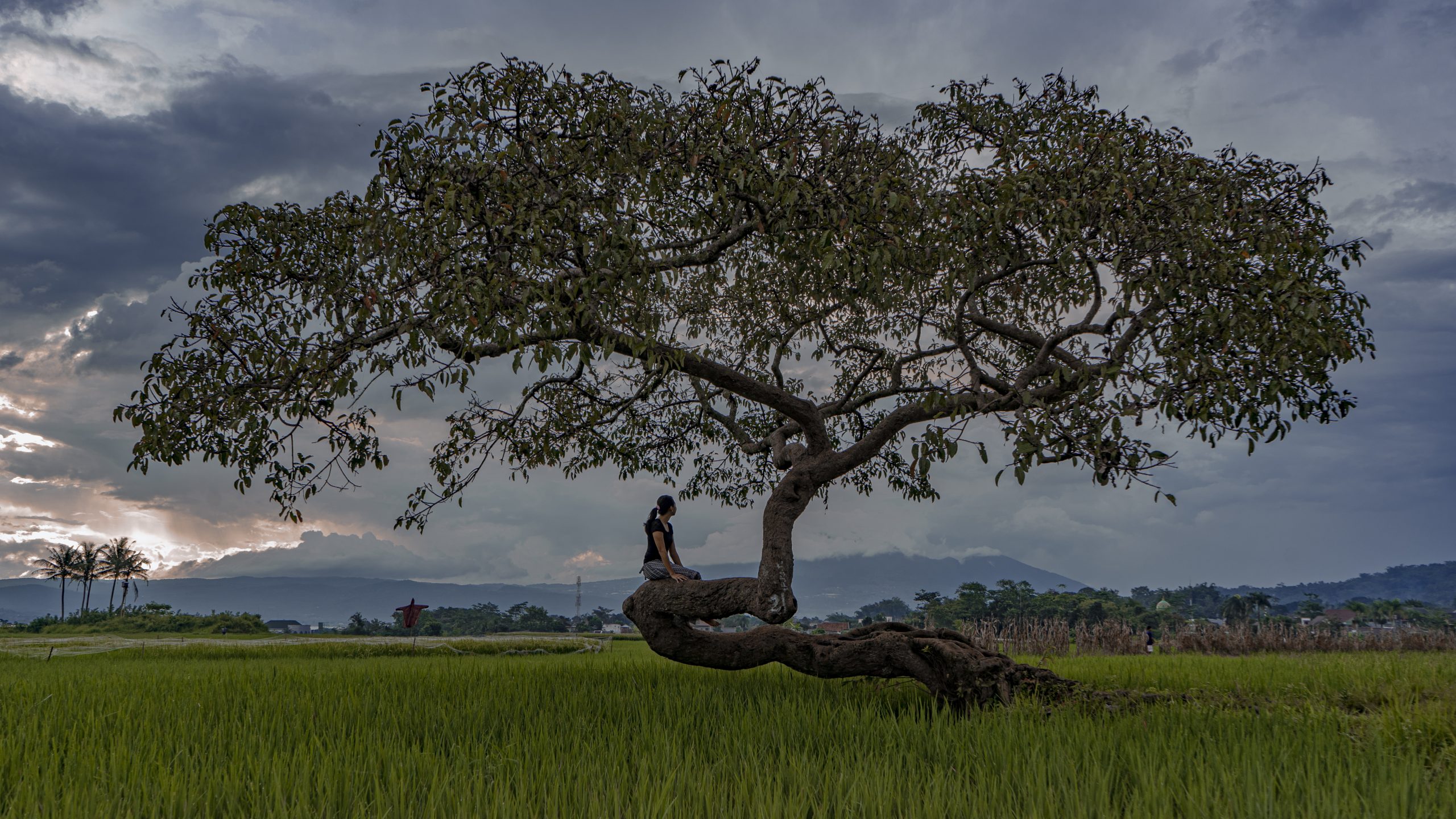 Photograph — Salatiga, Indonesia